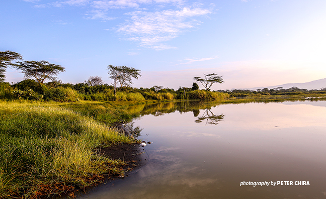 Photo of Lake Elmenteita Soysambu Conservancy, Kenya