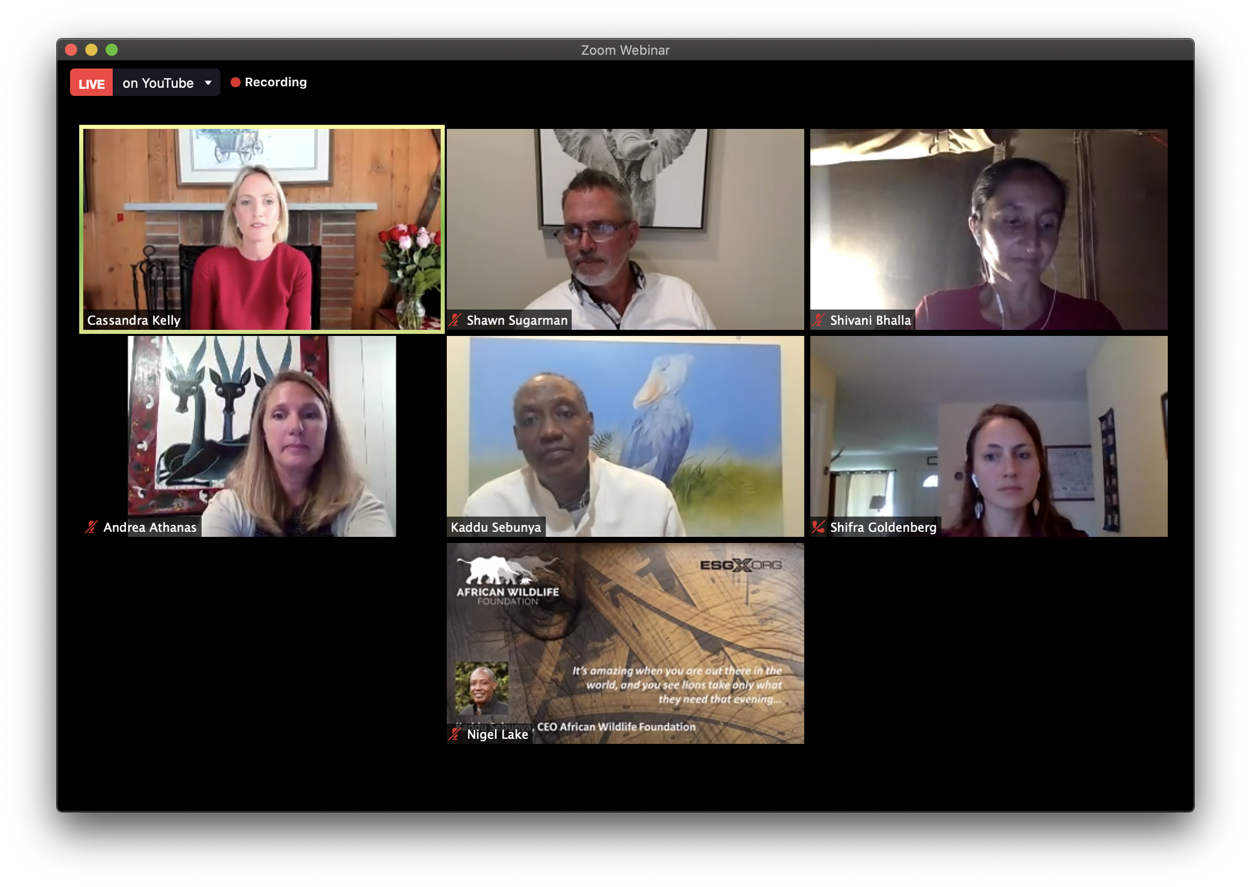 Panellists during the ESGX Webinar