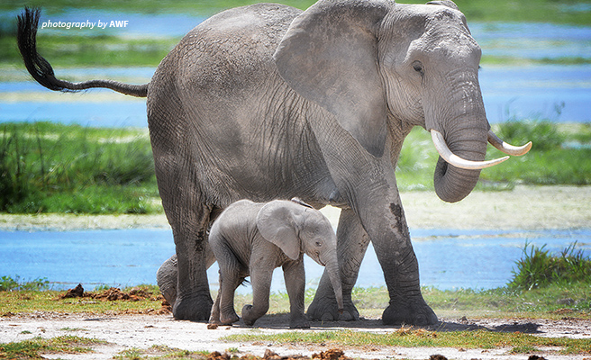 CHINA_YOUTH-DIALOGUE