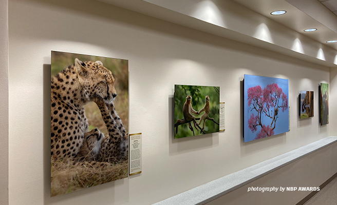 Walls of the Children's National Hospital 