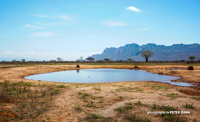 Photo of semi-arid savanna landscape in Africa