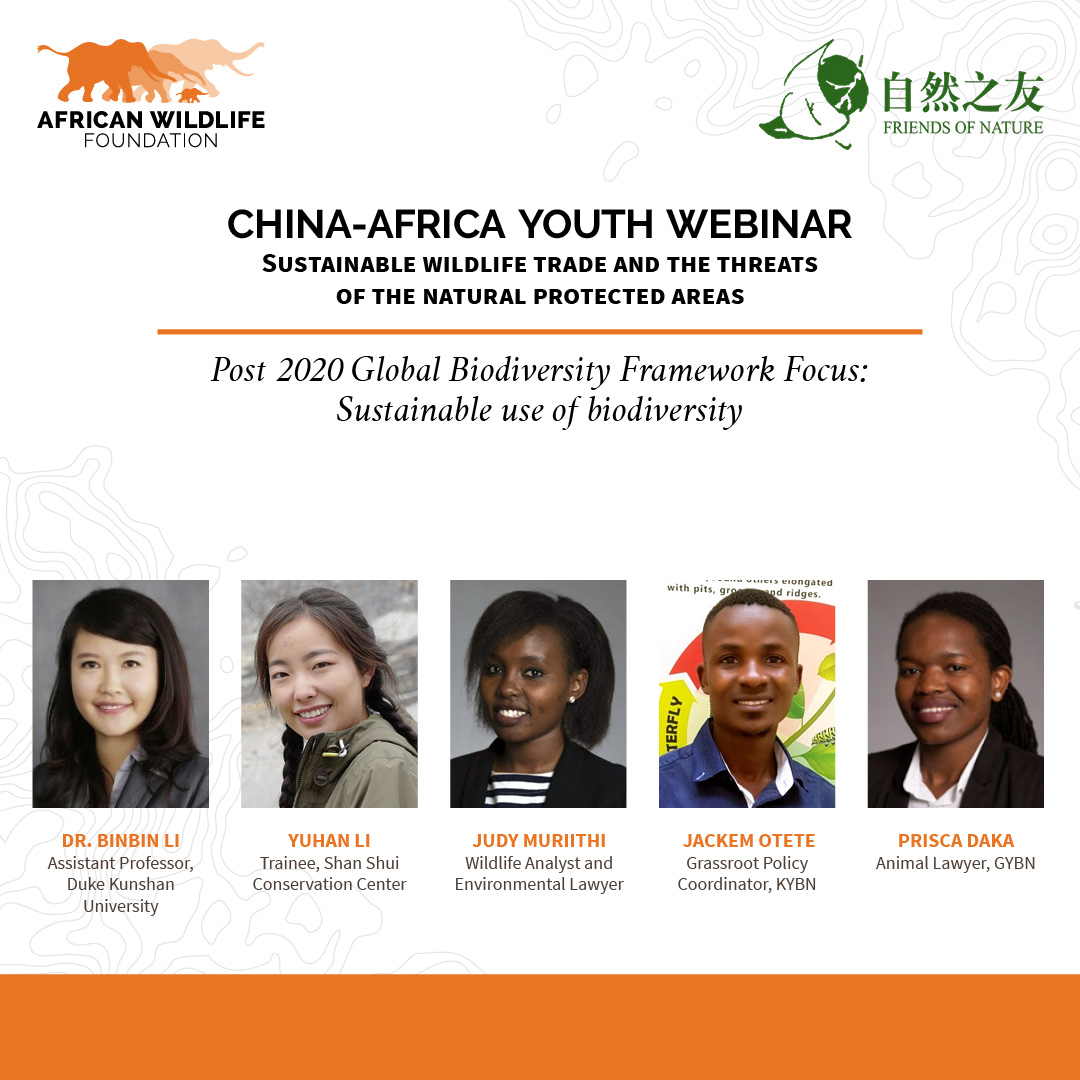 AWF-FON China-Africa Youth Webinar -October No Dates.jpg