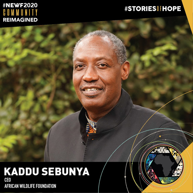 AWF CEO addresses African filmmakers at NEWF Congress