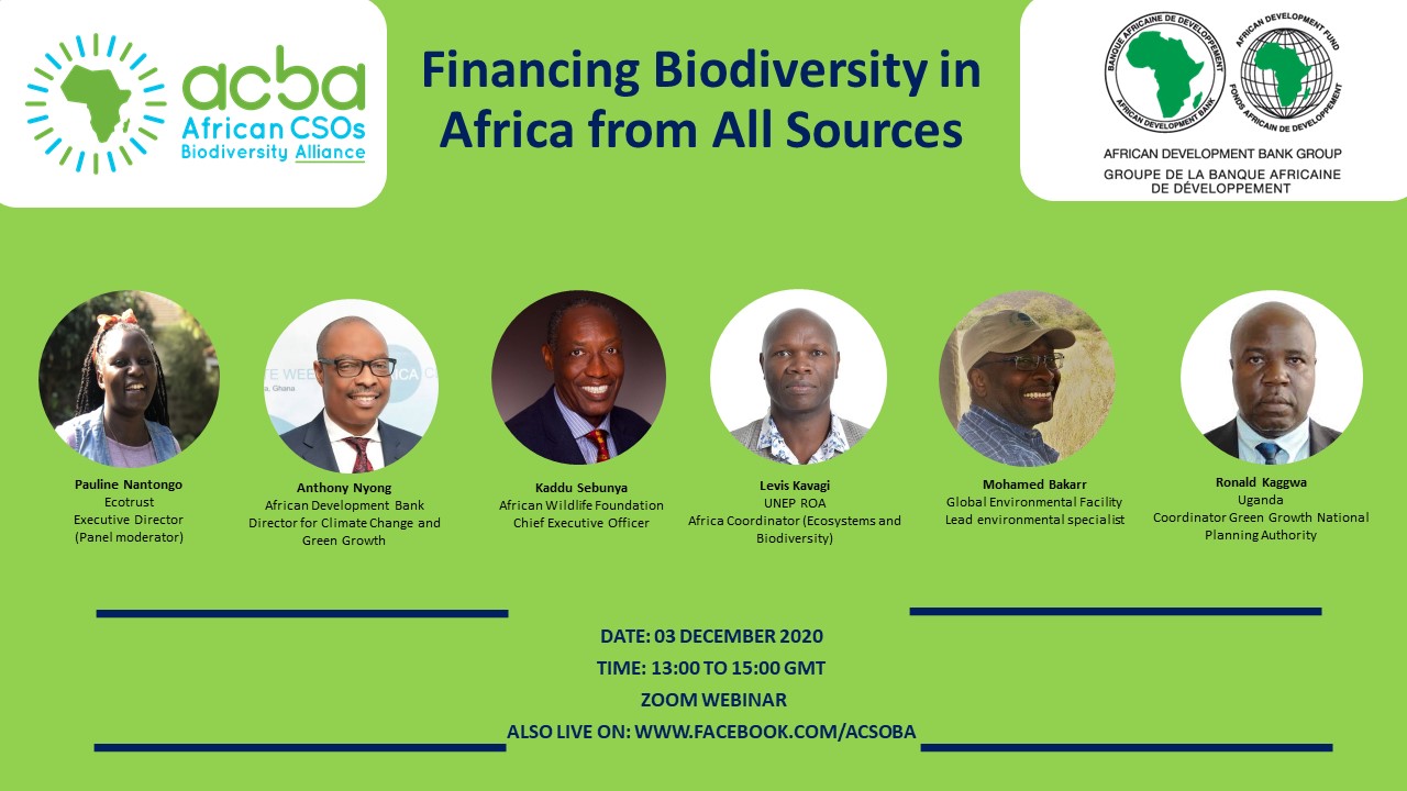 Financing Biodiversity Article Thumbnail