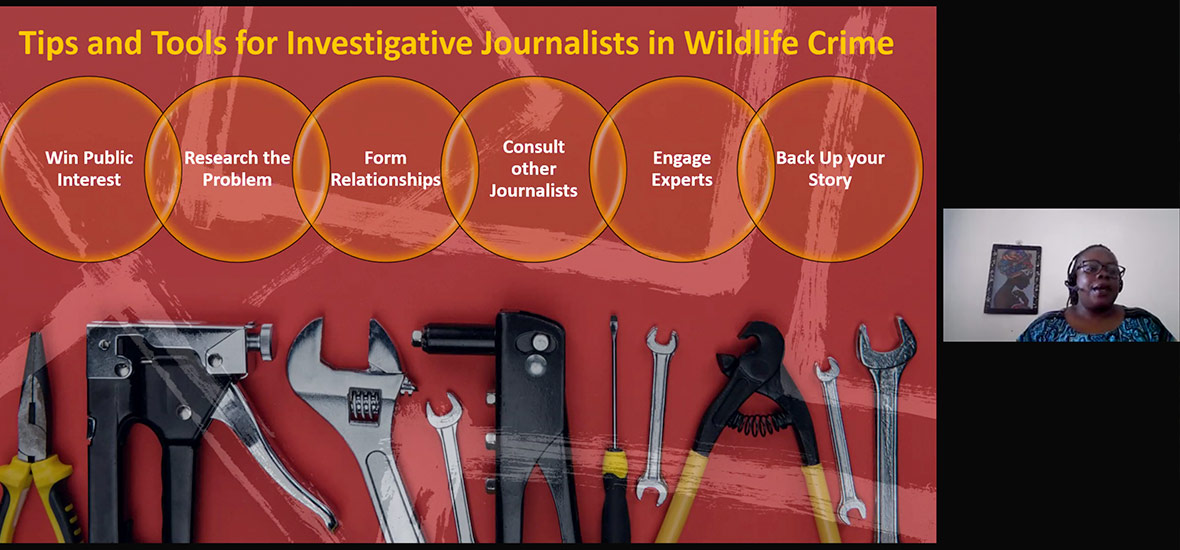 Screenshot of IWT journalism presentation by Didi Wamukoya