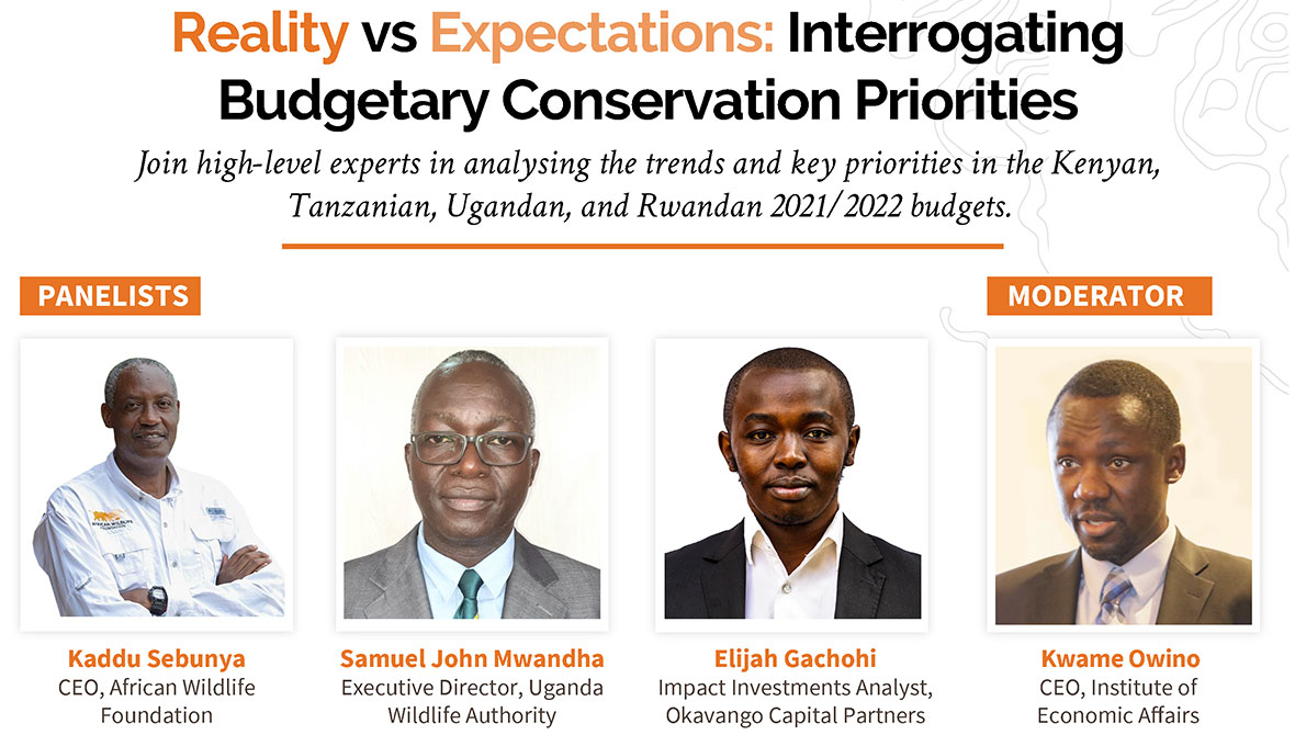 AWF-hosted webinar on East African conservation funding
