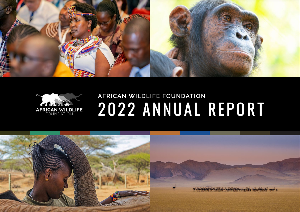 2022 Annual Report