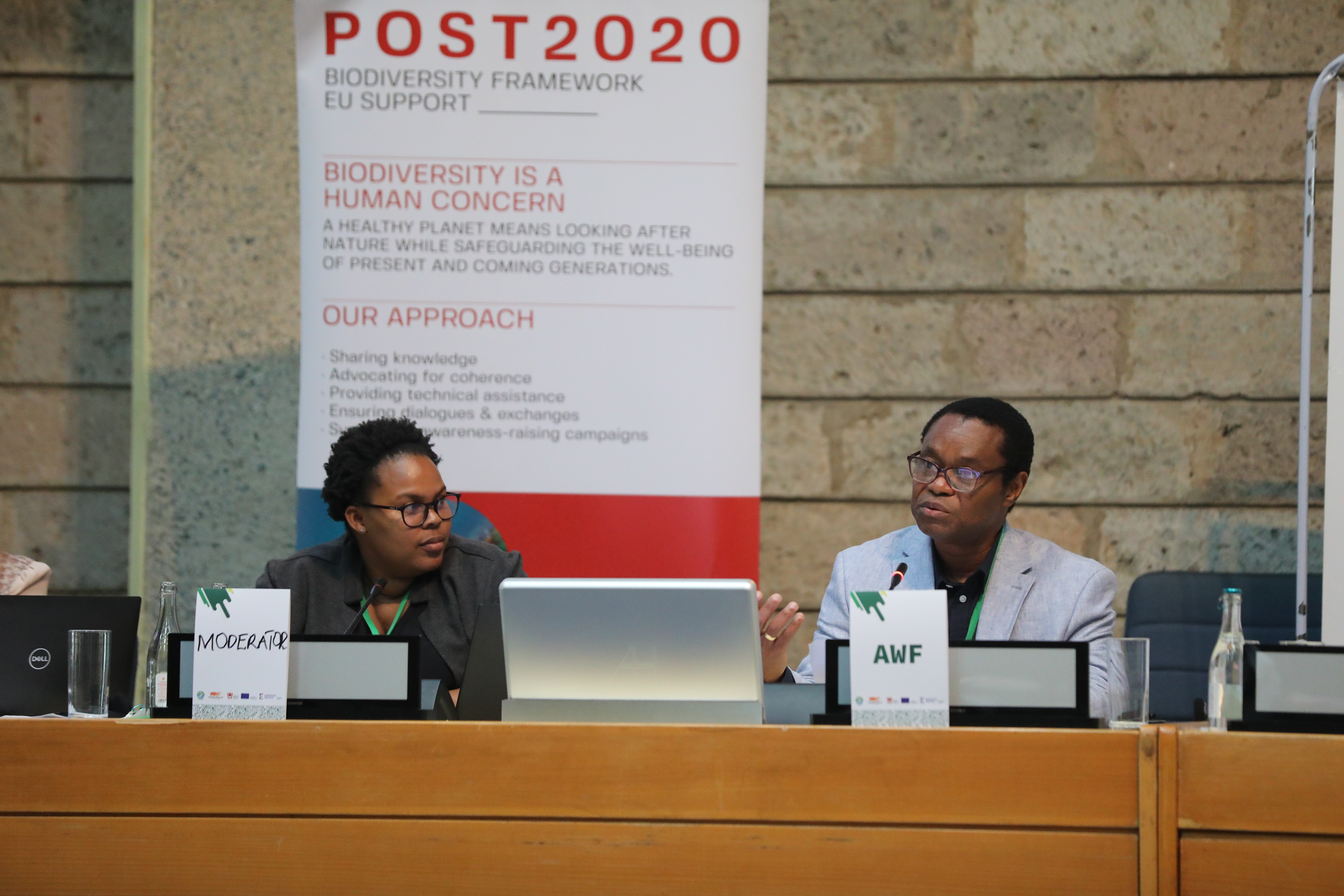 Simangele Msweli and Fred Kumah during the fourth meeting of the Subsidiary Body on Implementation SBI -4