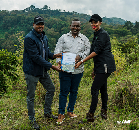 Three people present a report in a green landscape.