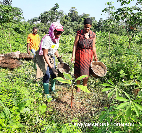 Farmers planting crops.