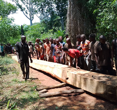 People moving a large piece of timber