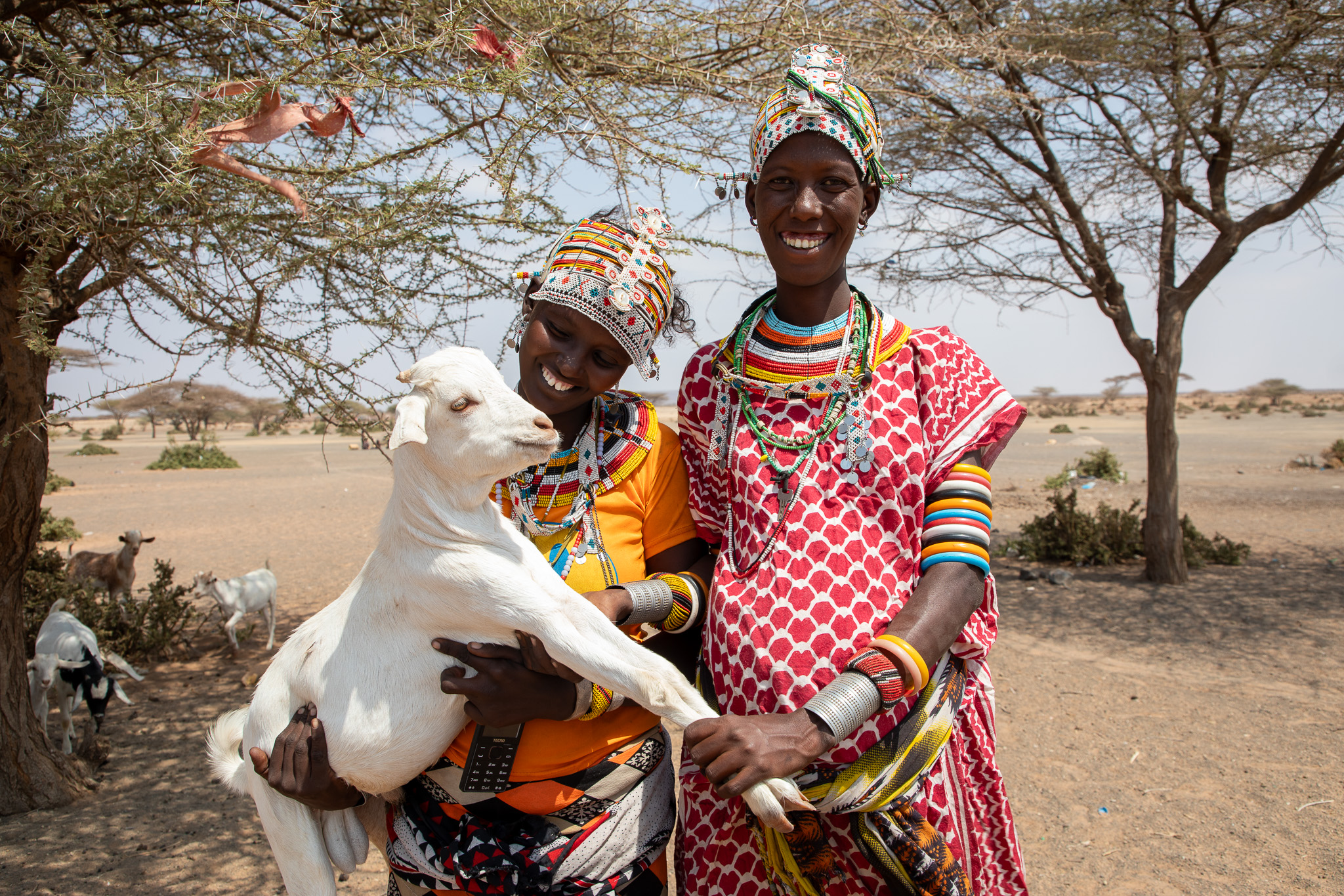 Community members of Kargi Village and their livestock in Marsabit County, one of the project sites.