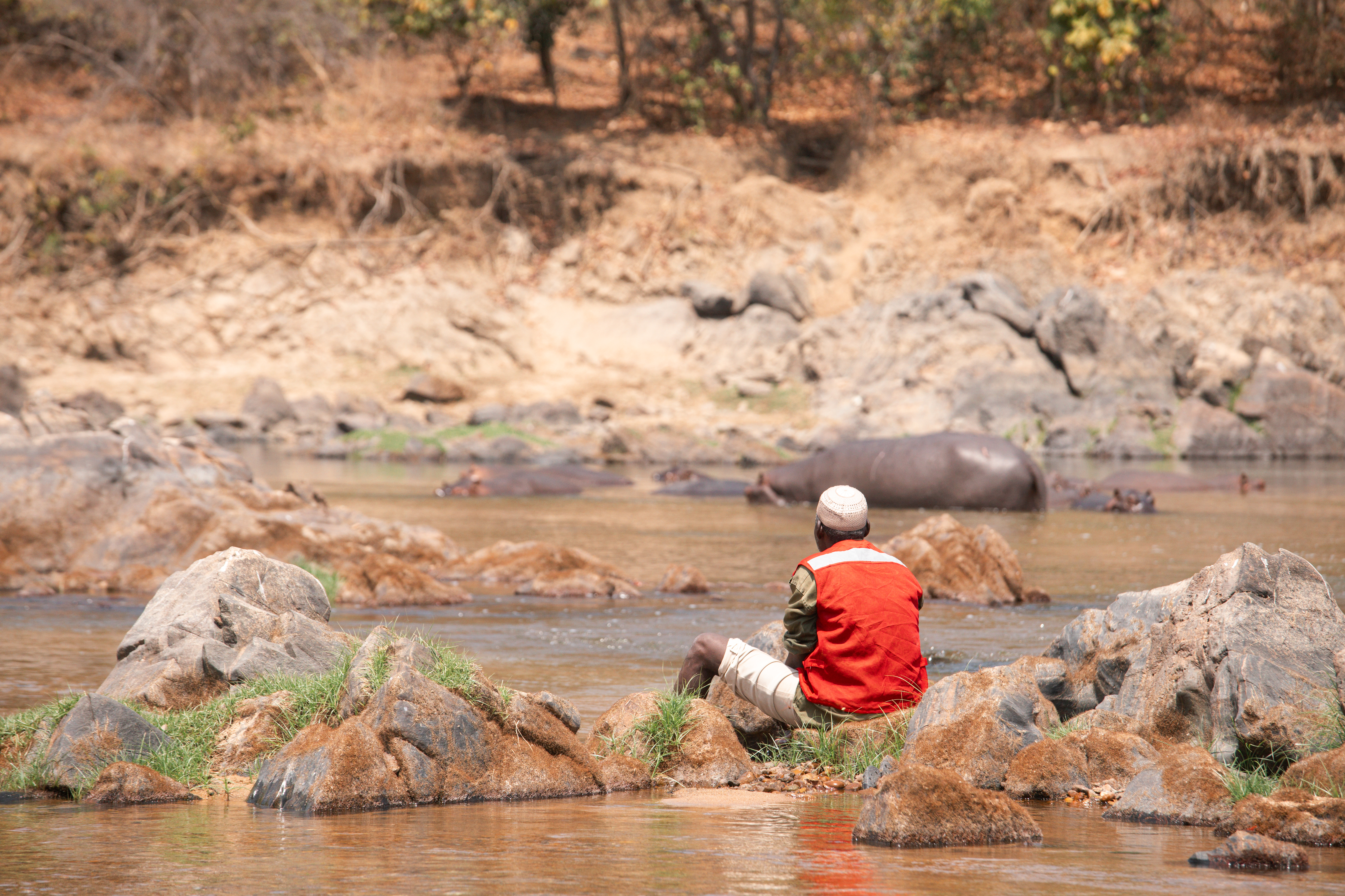 Papa Gambo sitting at the river bank of River Faro with hippos in the distance