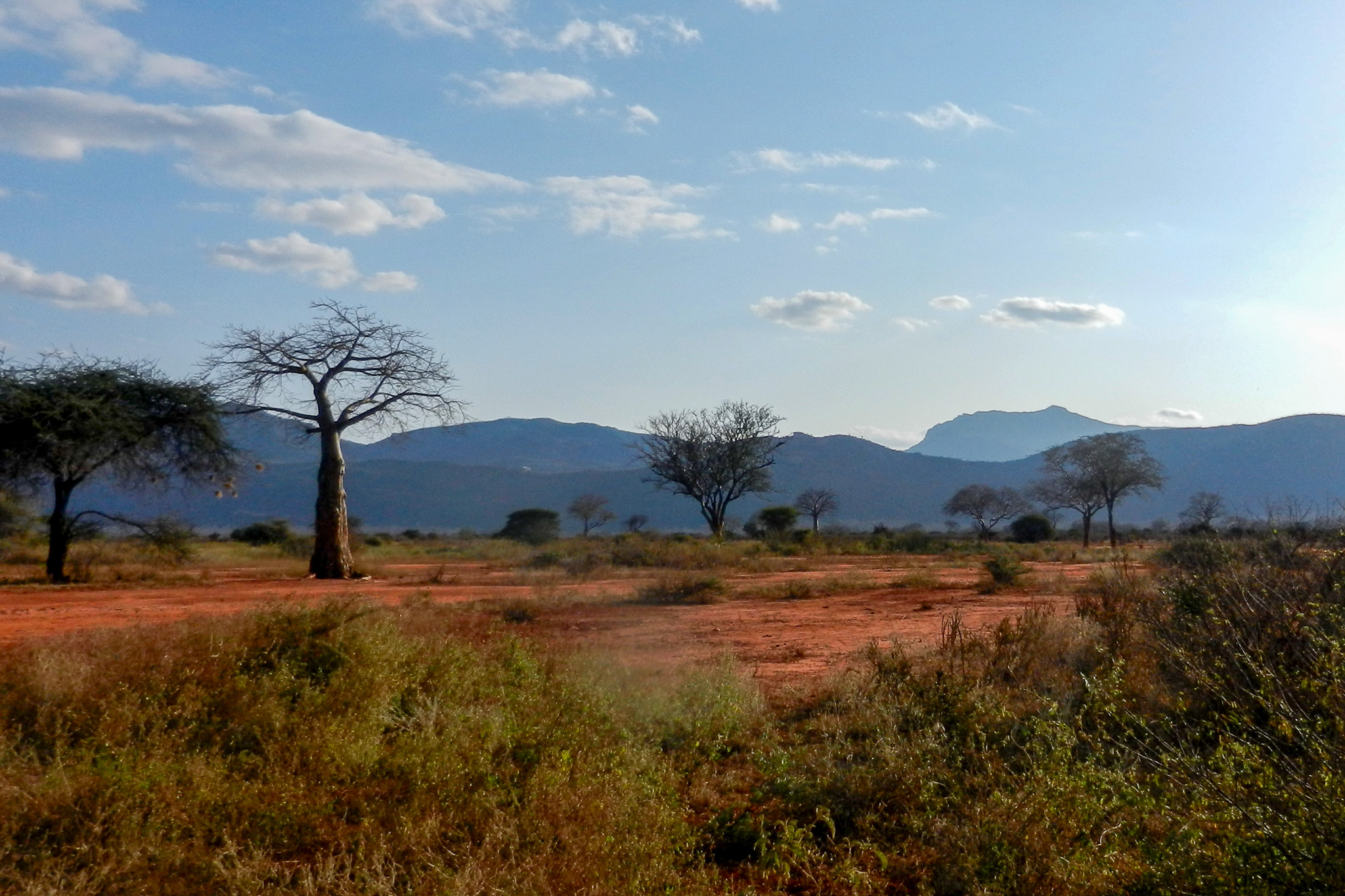 Ngulia Rhino Sanctuary in Tsavo West National Park.