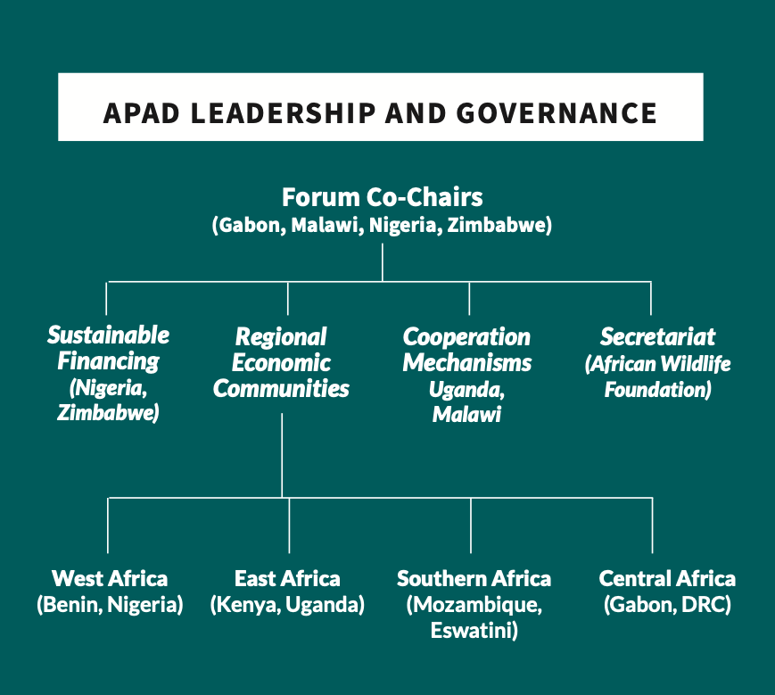 APAD Leadership and Governance