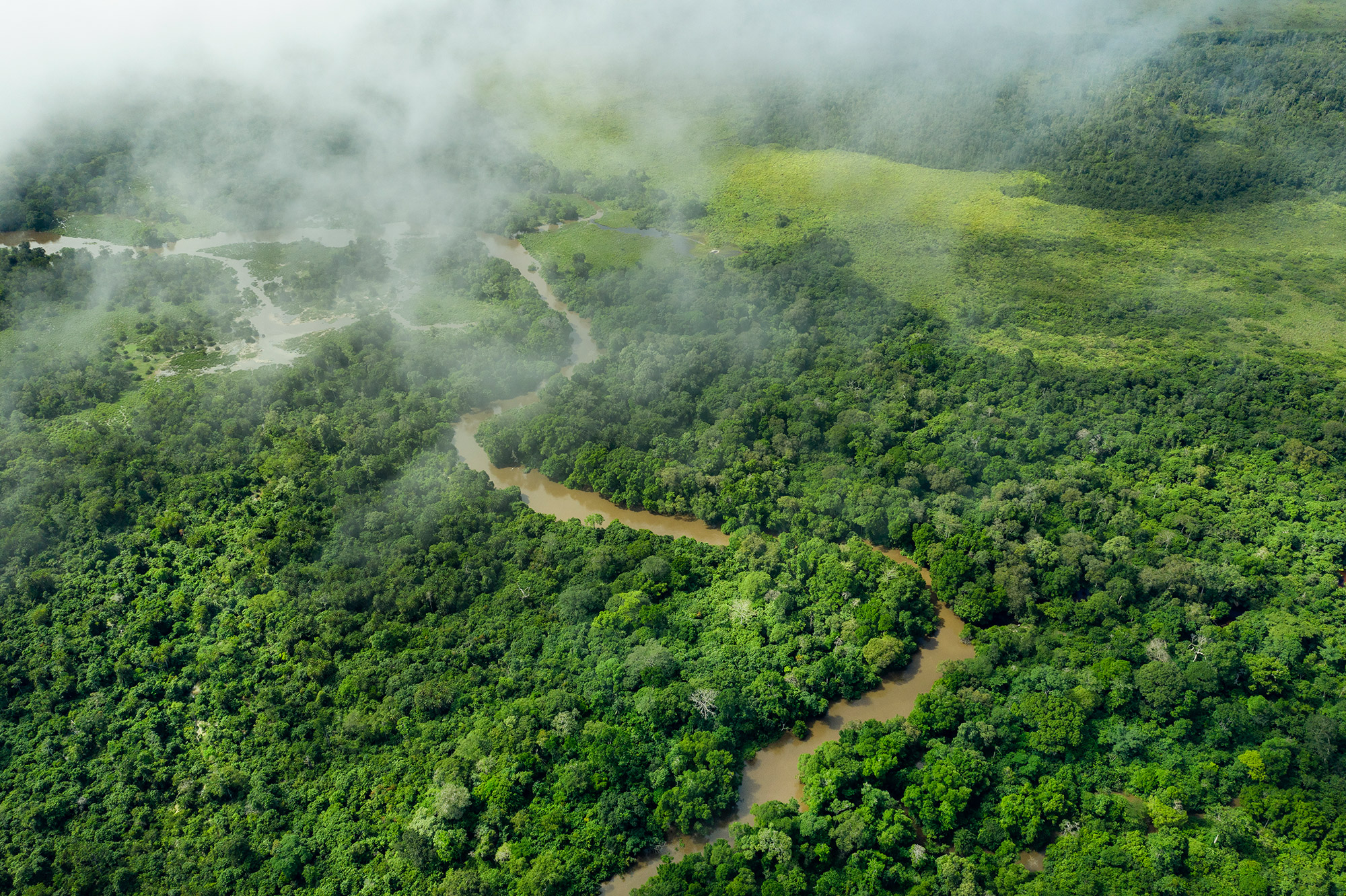 African protected area