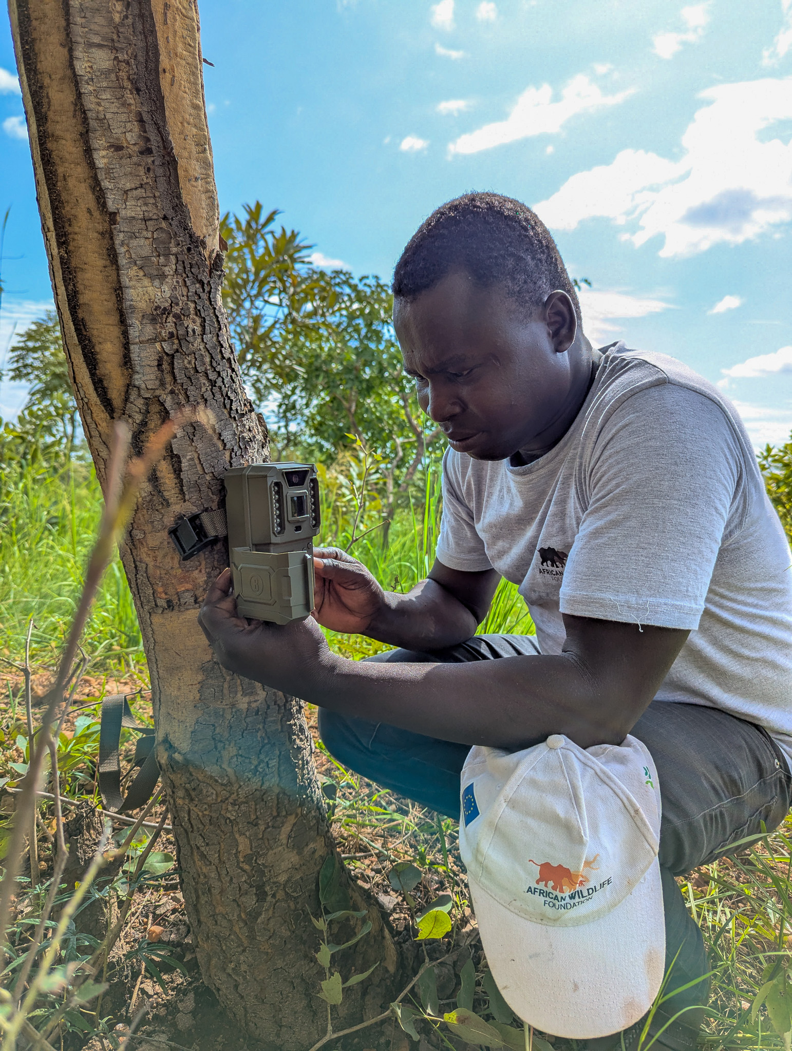 Dr. Taiga retrieves data from the camera traps.