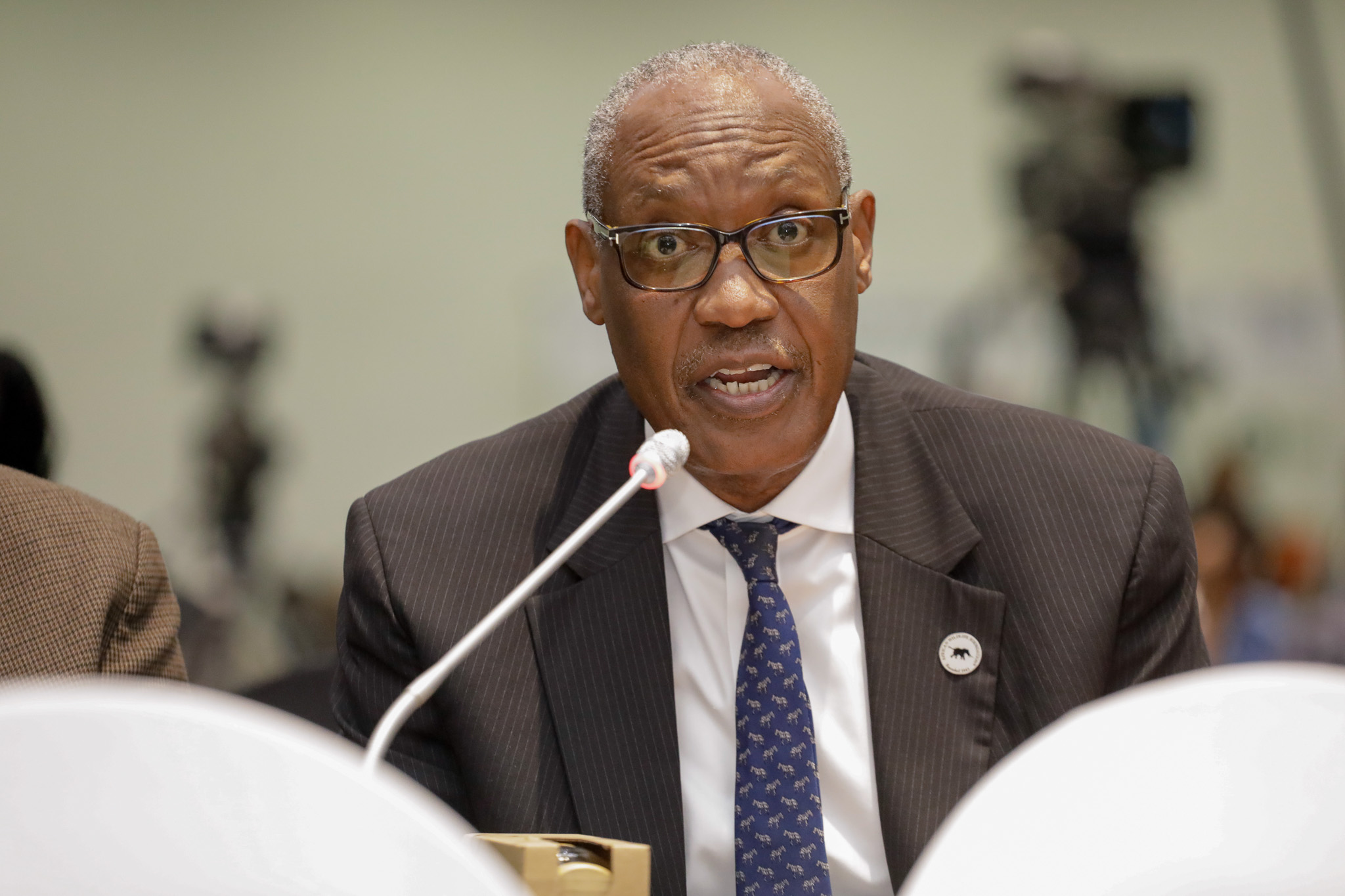 AWF CEO Kaddu Sebunya presents the AWF statement at the inaugural Africa Business Summit.