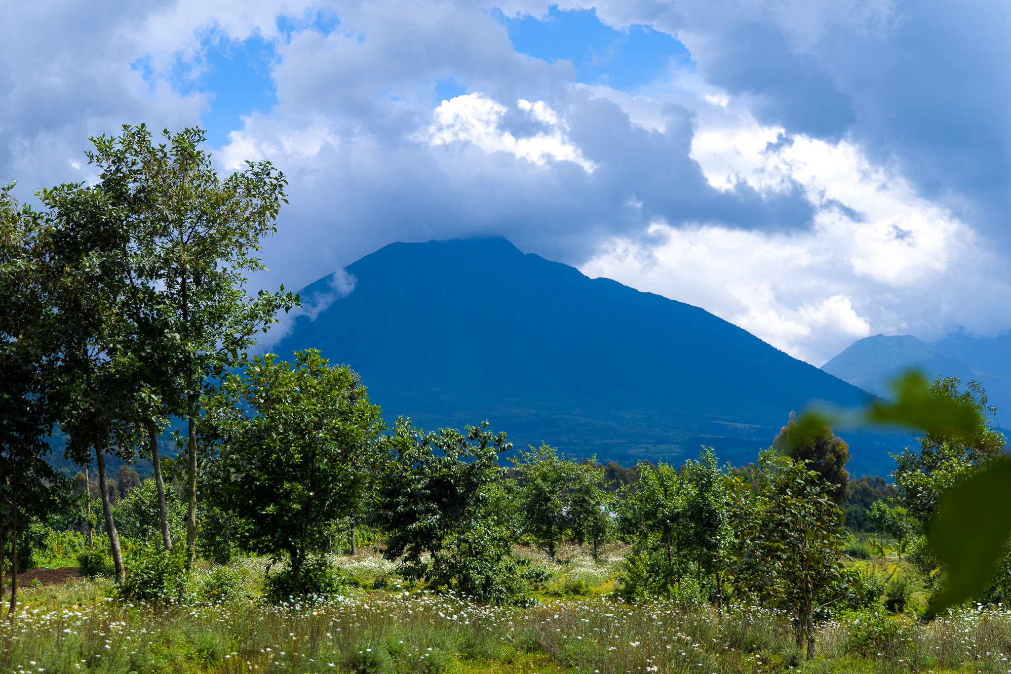 Volcanoes National Park rises above surrounding farmland in northern Rwanda.