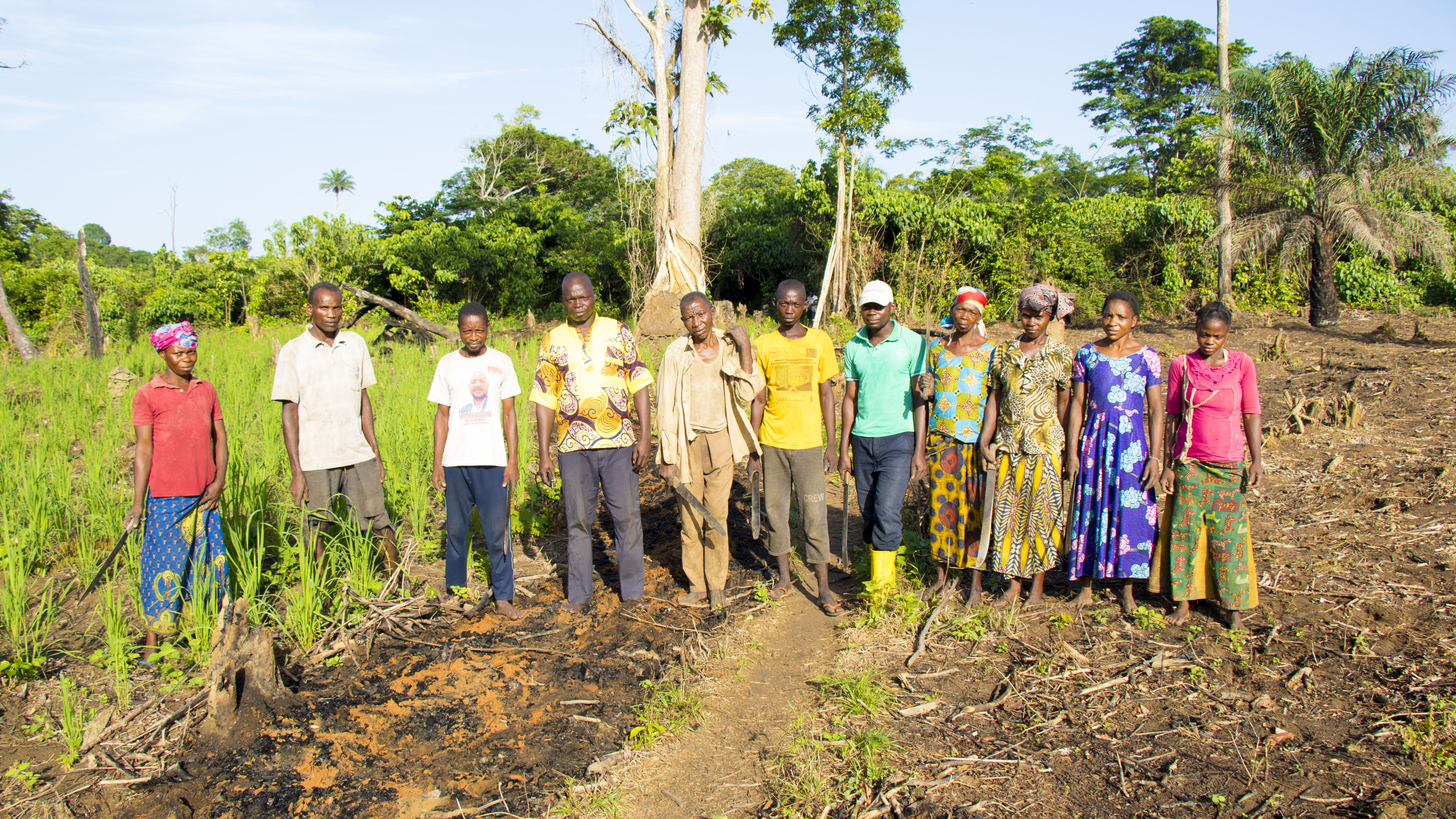 Farmers trained in sustainable agriculture within their association in Maringa-Lopori-Wamba, DRC. 
