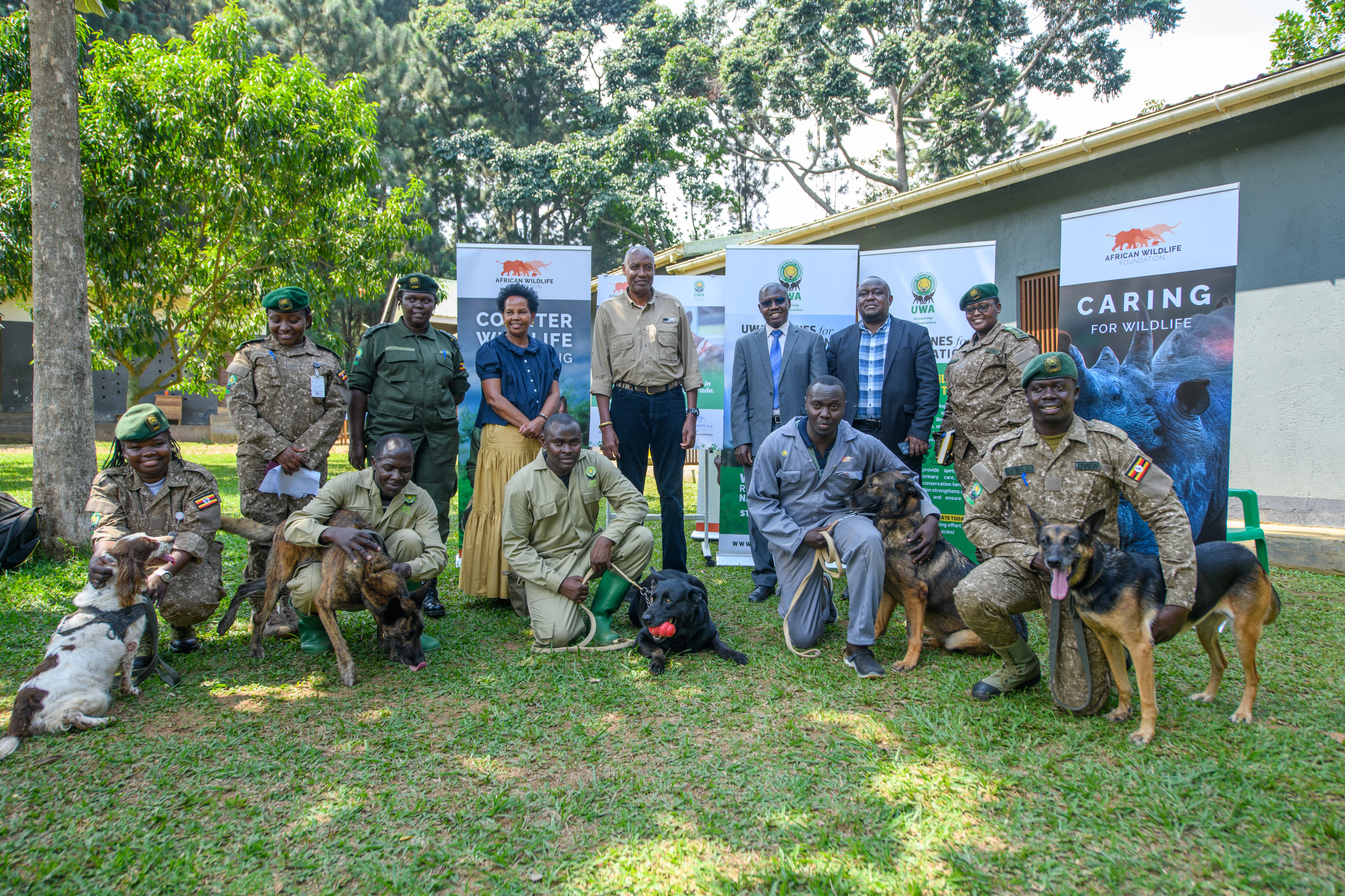 AWF transitions the Canines for Conservation program to the Uganda Wildlife Authority after nine years of collaboration and success.