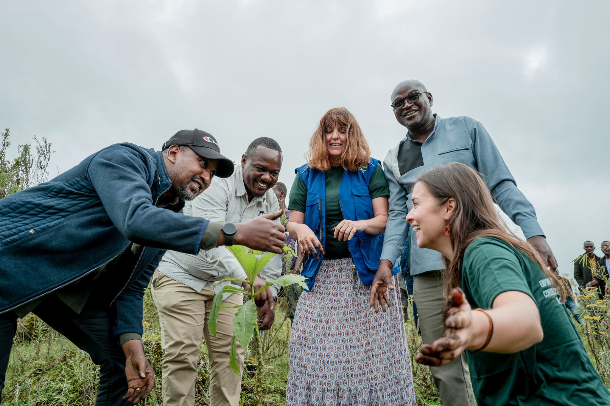 AWF Rwanda Country Coordinator Patrick Nsabimana (second from left) engages with government stakeholders and EU development partners during a tree planting exercise in Kinigi, Rwanda. 