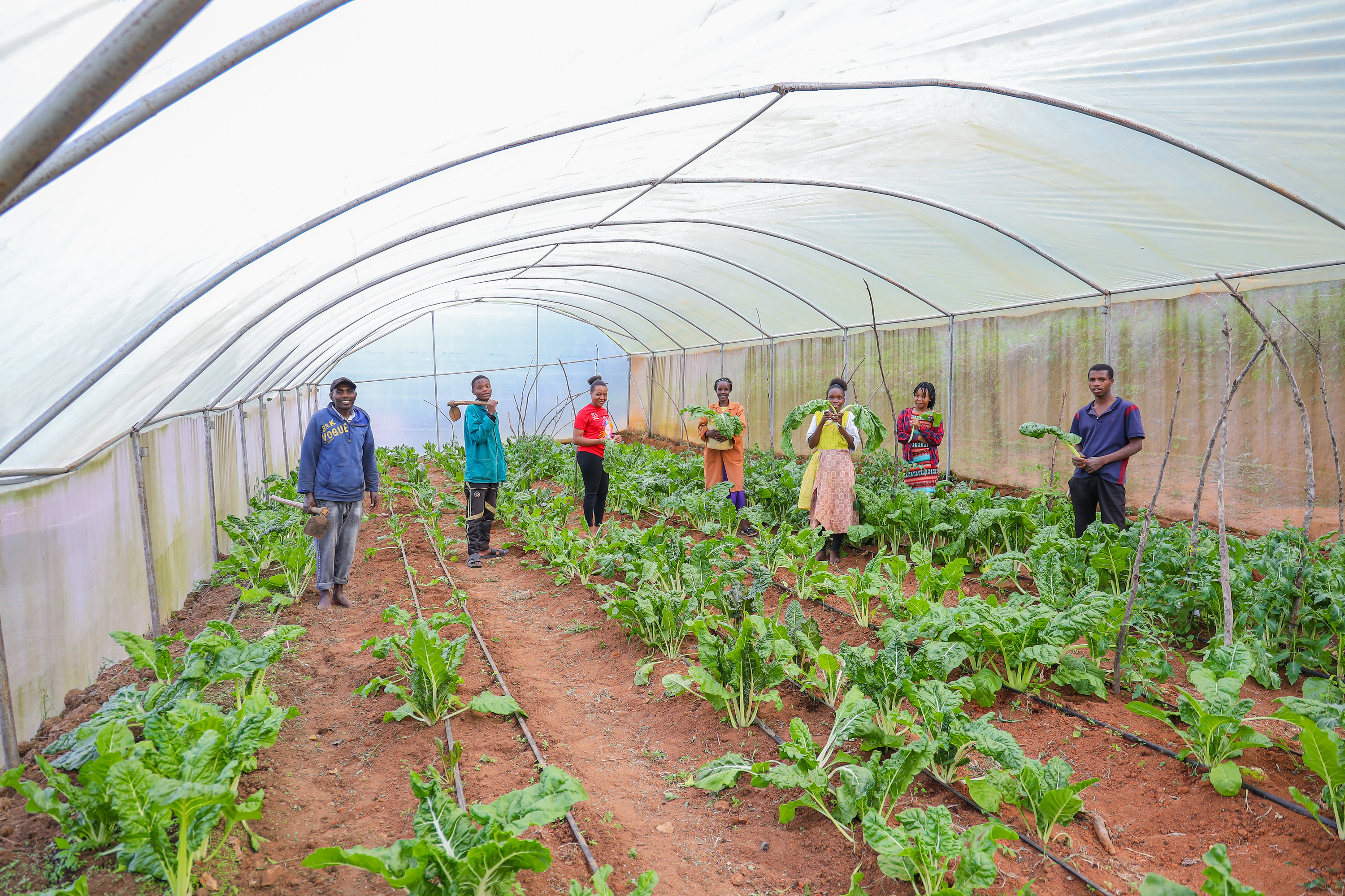 Mwavunyu Chakiloli Youth Group in their greenhouse following a successful crop-growing period.