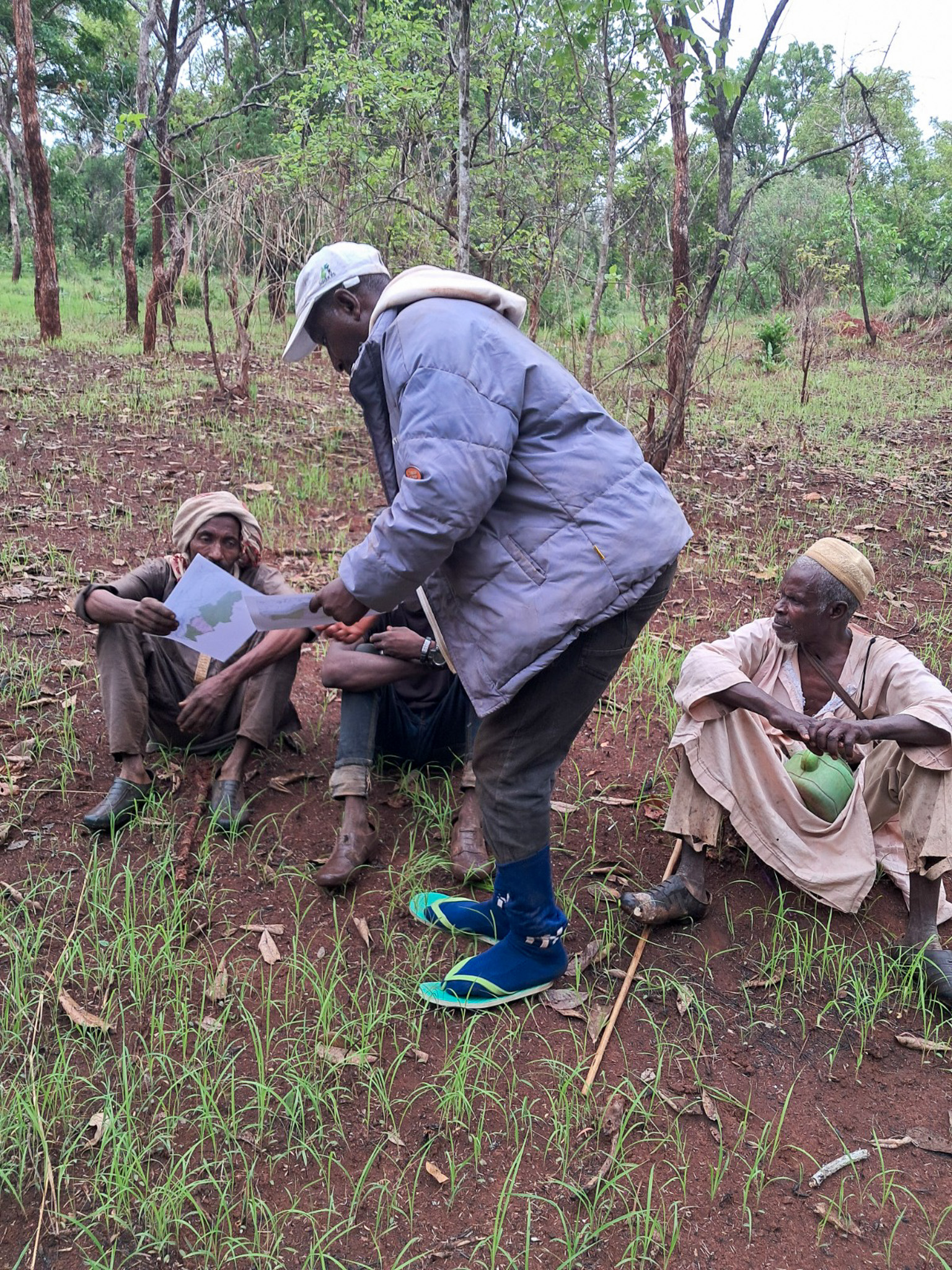 Raising awareness of transhumant herders in their savanna environment.
