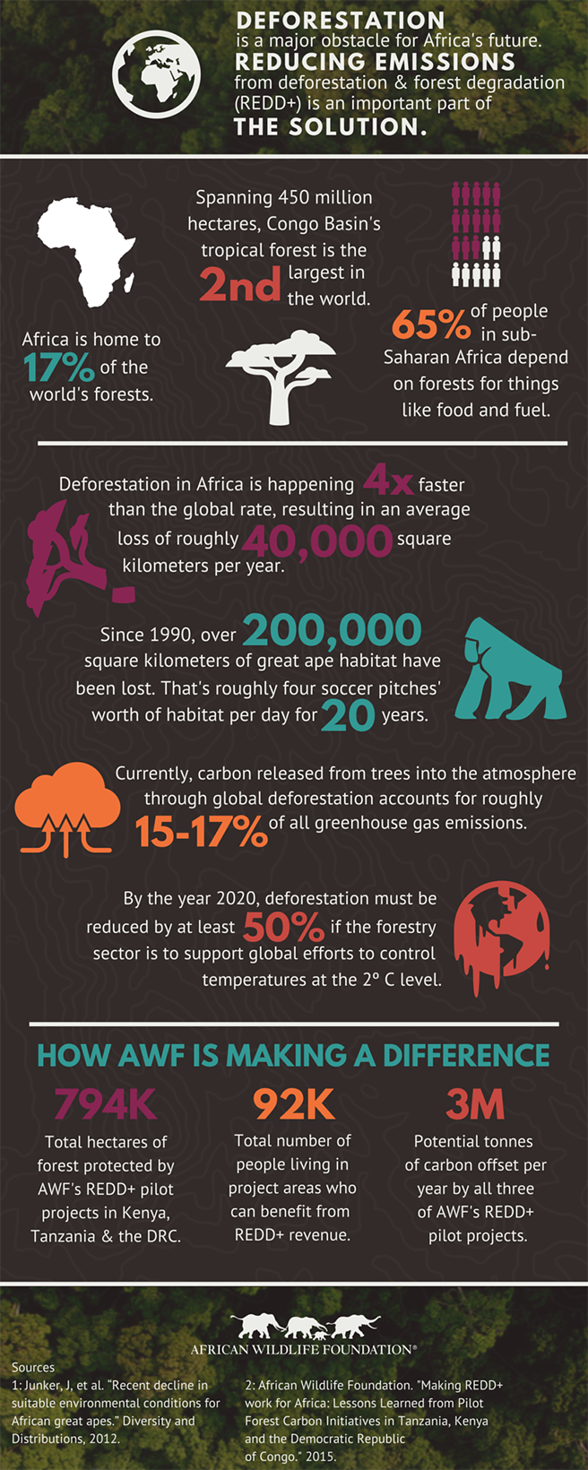 Africa's Deforestation Infographic