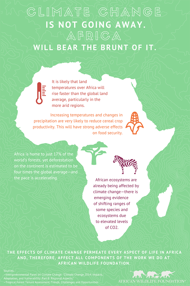 AWF's infographic showing the many ways climate change is affecting Africa