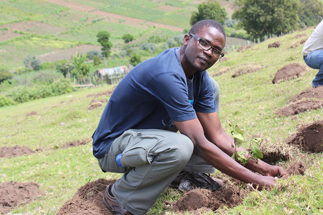 AWF CMTP planting trees in Mau Forest
