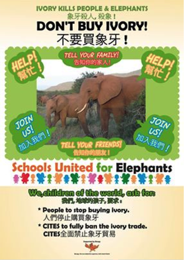 Celia's Don't Buy Ivory poster