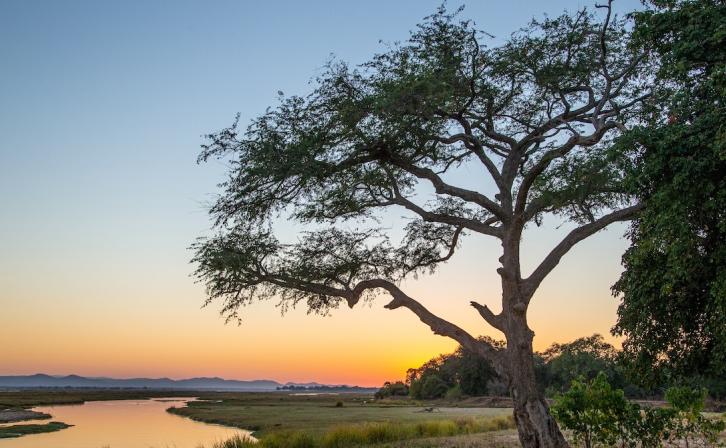 Sunrise over the Zambezi River