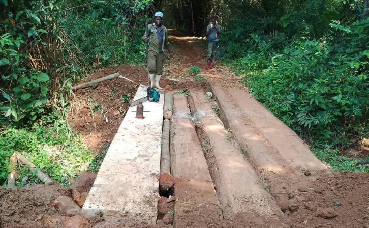A bridge in rural DRC.