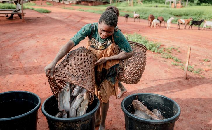 INDIGENOUS WOMAN TRANSPORTS FISH HARVESTED FROM THE POND PREPARING TO SELL