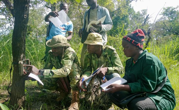 Eco-guards collecting data during a wildlife survey.