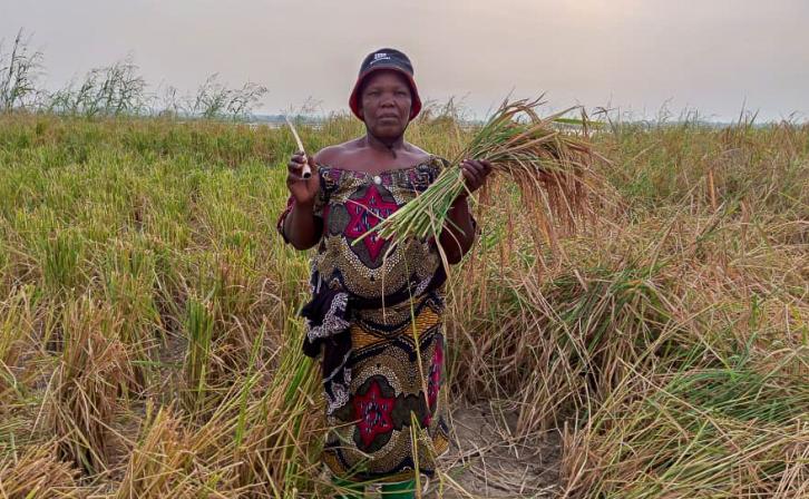 Aminatou Koffa stands in her rice field after the harvest.