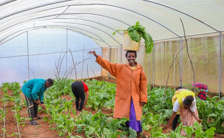 Jedida Mesi and the Mwavunyu Chakiloli Youth Group harvest fresh vegetables from their climate-smart greenhouse.
