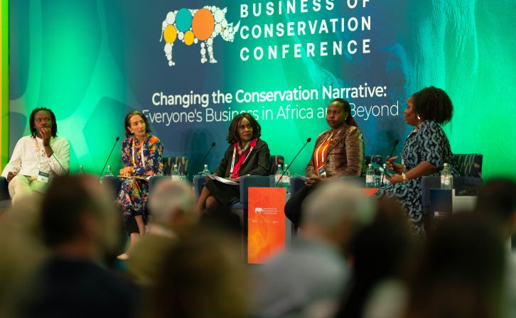 Panelists of the chat: Investing in the Nature and Climate Economy: From Theory to Practice – Developing viable, scalable solutions that meet investor requirements.