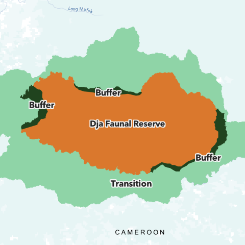 A map of the Dja landscape, including the Dja Faunal Reserve.