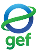 GEF logo