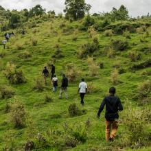 People walking in a green landscape.