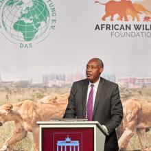 Kaddu Sebunya at Africa Forum Berlin 