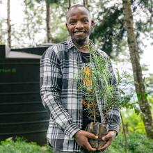 Eliud Mwasingo Kimori holding one of his seedlings in his thriving tree nursery .