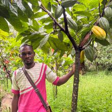 Zamo Yves standing in his 3.5-hectare cocoa farm in Nnemeyong in Southern Cameroon.