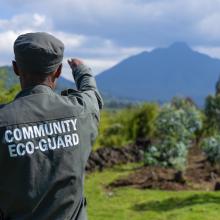A Community Eco-Guard surveys the Virungas Landscape.